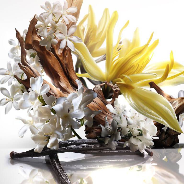 angel elixir eau de parfum florale refill