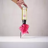 angel nova eau de parfum fruitee refill