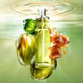 New Starlicious Pistachio Praline still life image featuring the slender bottle surrounded by its key ingredients: a patchouli leaf, whole pistachios, and dripping caramel cubes, all set against a luminous green rippling water background.