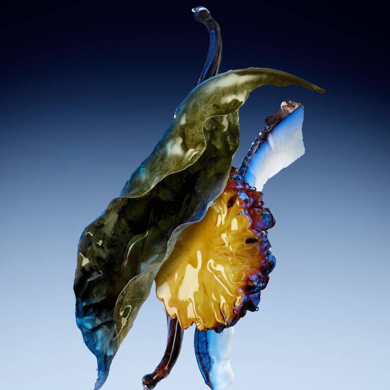 angel fantasm eau de parfum sensuelle refill