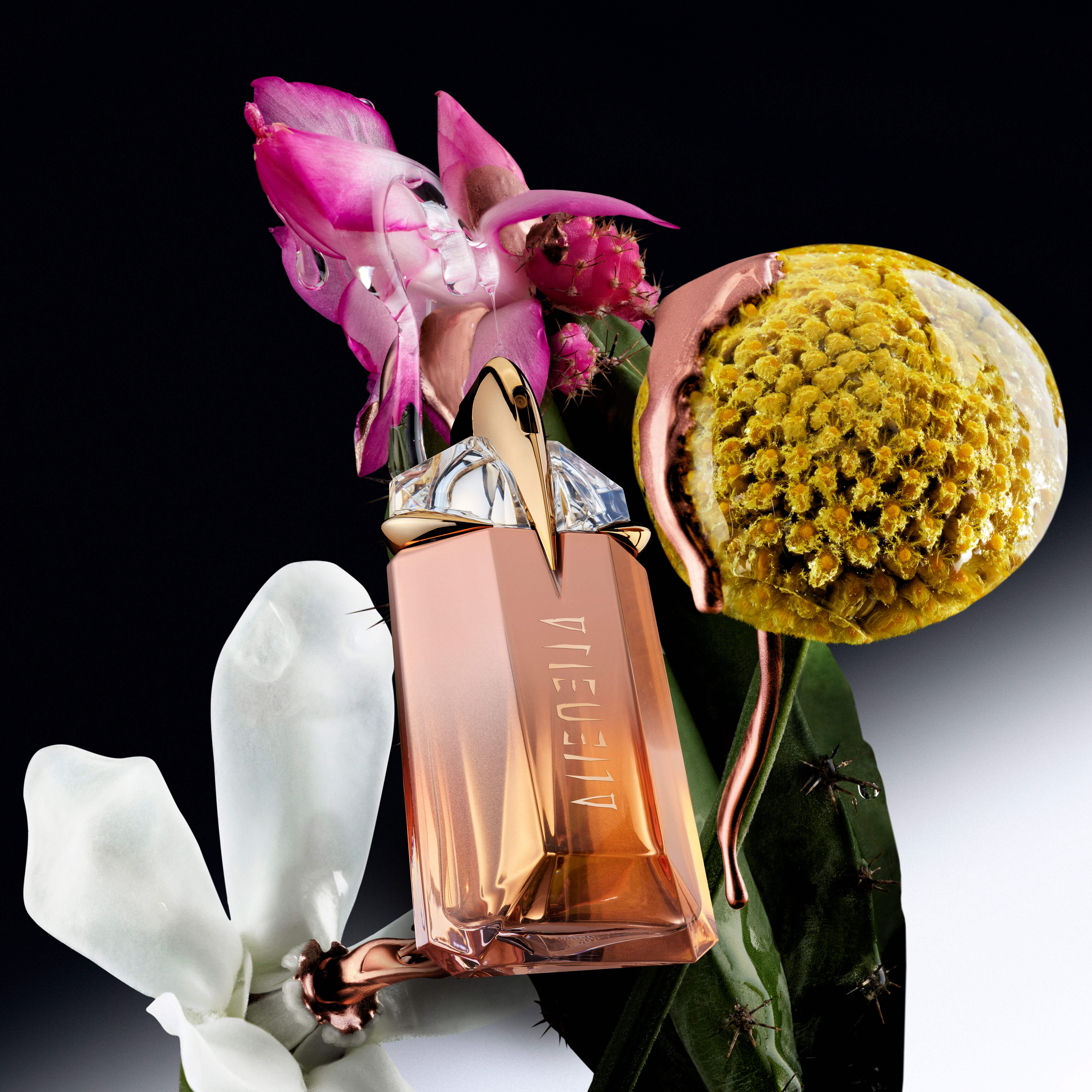 Alien perfume 90ml perfume shop outlet