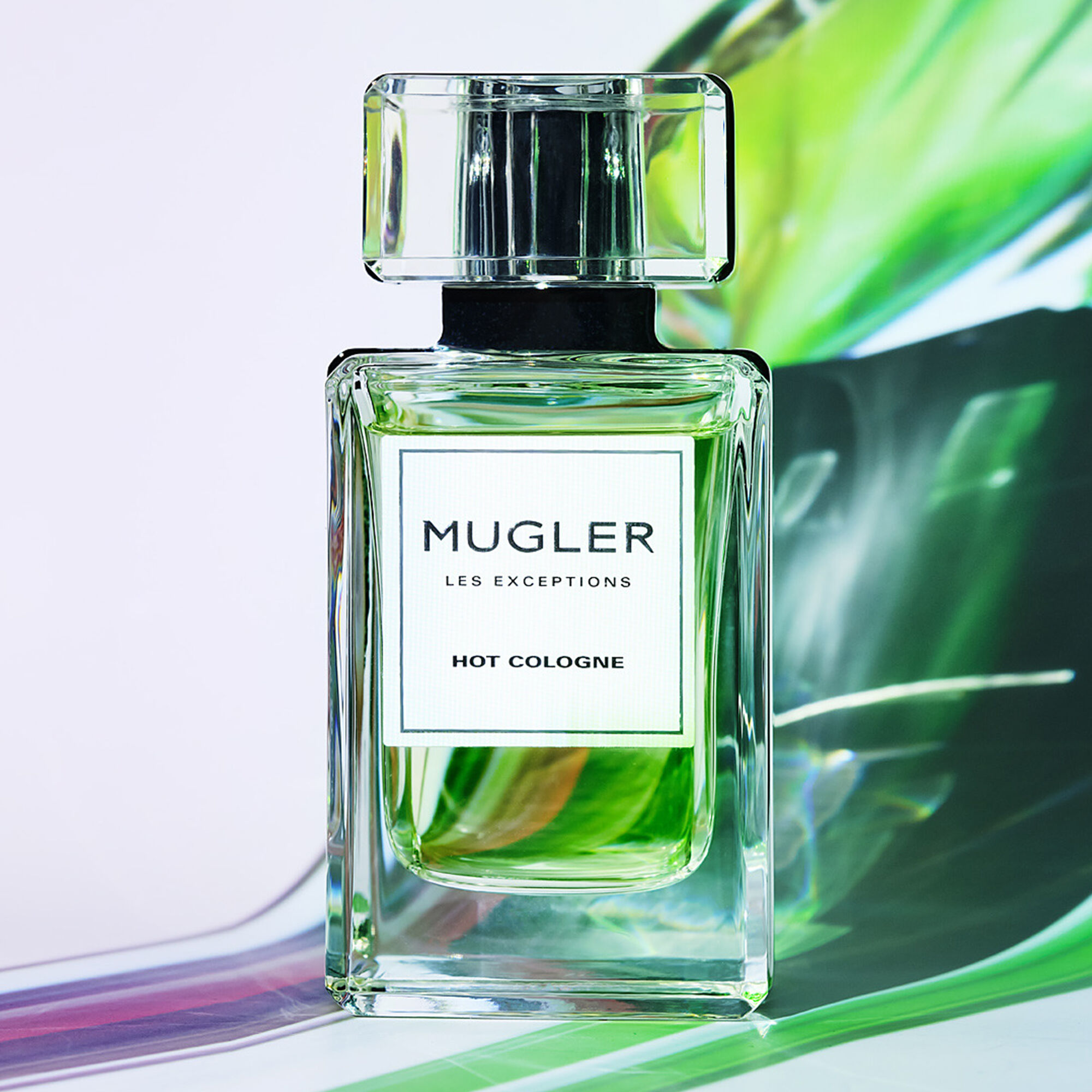 hot cologne