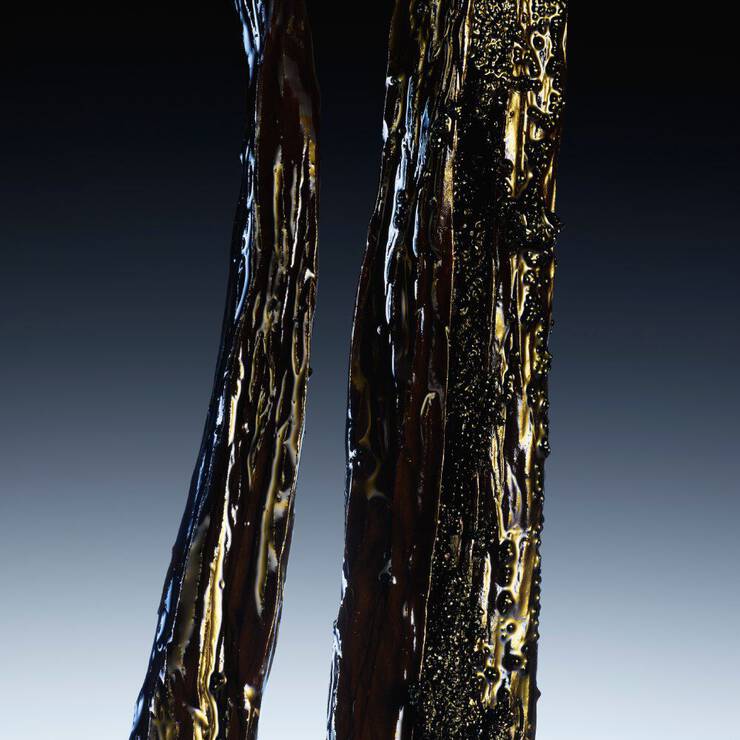 Abstract ingredient visual highlighting the vanilla accord ingredient of Wonder Bouquet