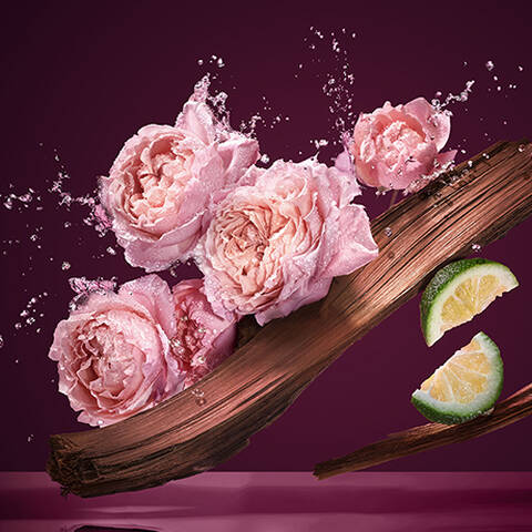 A vibrant arrangement of pink roses paired with wooden bark and citrus slices, all set against a rich burgundy background with splashes of water.
