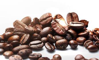 A pile of various coffee beans on a reflective surface, showcasing their rich brown colors and different shapes.