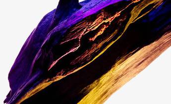 An abstract image of a piece of wood with vibrant colors, featuring shades of purple, red, and yellow, highlighting its texture and natural forms against a white background.