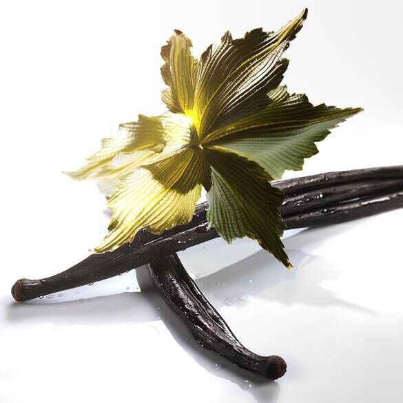 A close-up of dark vanilla beans arranged on a white surface, topped with a vibrant green leaf.