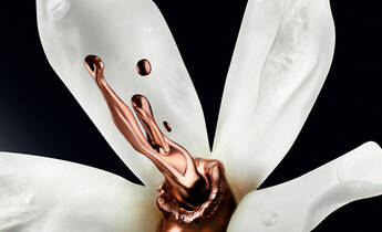 A close-up of a white flower with delicate petals, featuring a copper-colored liquid artistically flowing from its center.