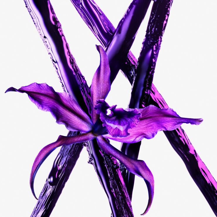 A vibrant purple orchid is positioned at the center, surrounded by dynamic, flowing streams of purple liquid on a white background.