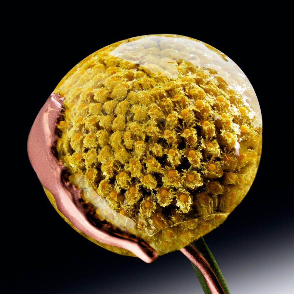 Close-up of a yellow flower head encased in resin, with a sleek copper curve integrated into the bottom, set against a dark background.