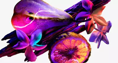 Dominique Ropion perfumer Alien