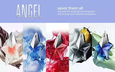illustration showing fragrance pyramid