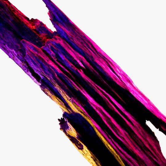 Abstract image featuring textured, jagged wood in vibrant shades of purple, pink, and yellow against a white background.