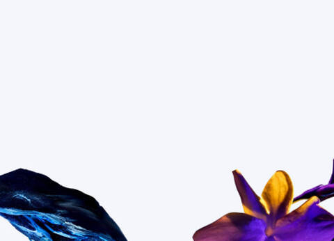 Decorative image to demonstrate woody vs floral