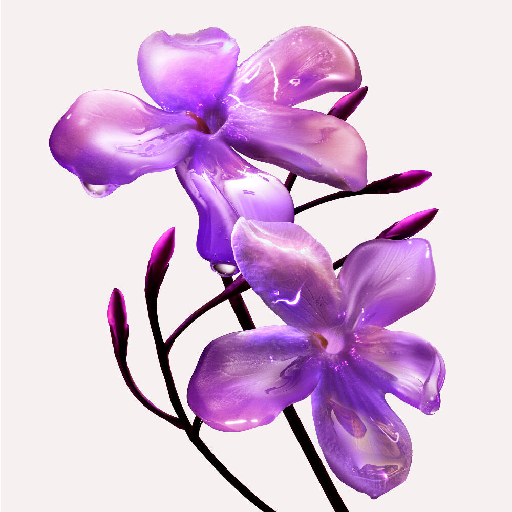 Delicate cluster of translucent purple flowers with buds, suggesting elegant and intoxicating floral notes within the Alien Pulp fragrance.