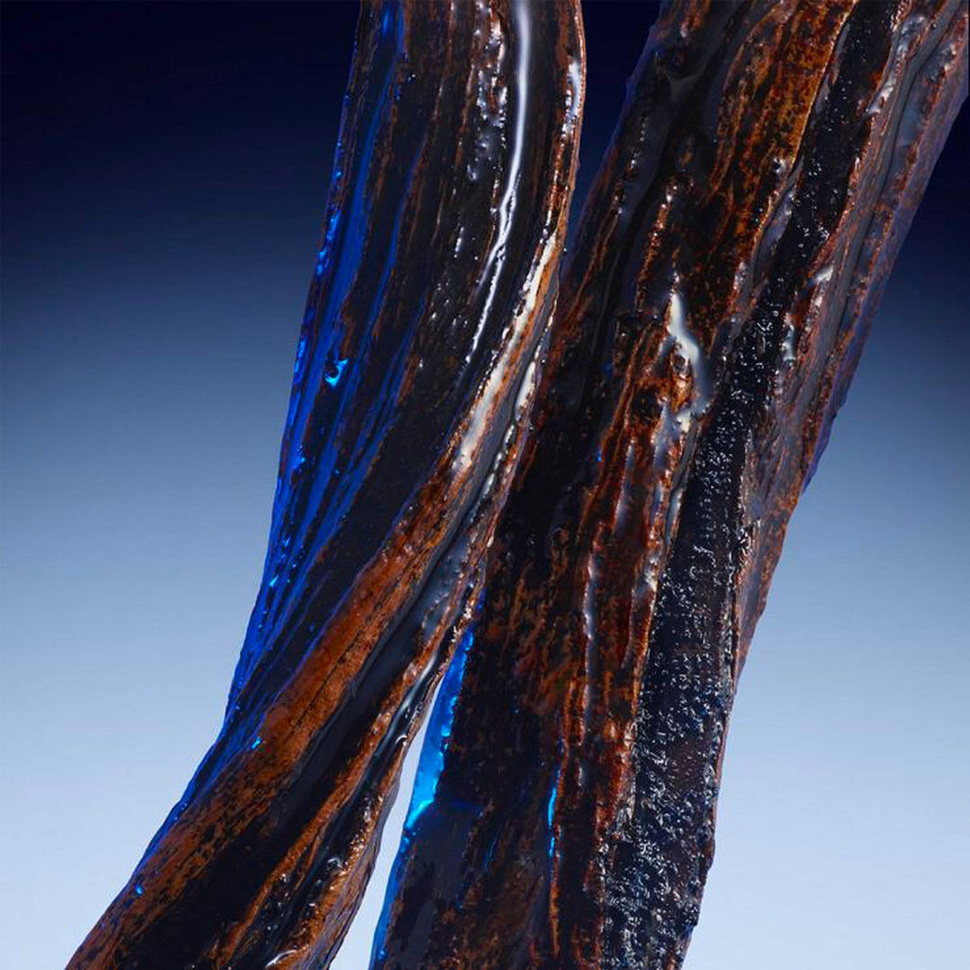 Dark vanilla and woody ingredient shot, showcasing the rich and sensual base notes of Mugler Angel Fantasm
