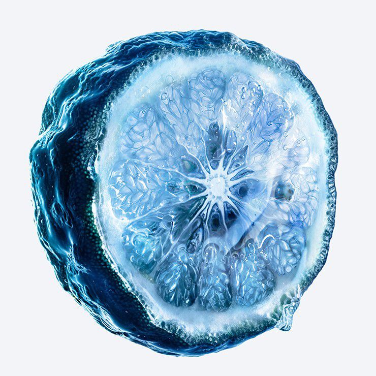 Blue citrus slice cross-section on a light gray background