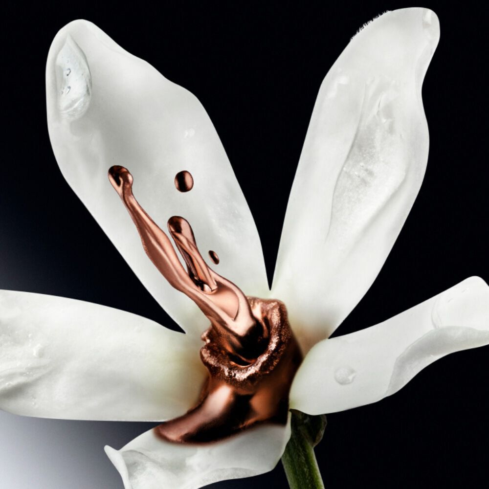 Jasmine Grandiflorum, Jasmine Sambac and Everlasting Flower white blossom ingredient shot, showcasing the sumptuous and captivating floral heart notes of Mugler Alien Goddess Supra Florale