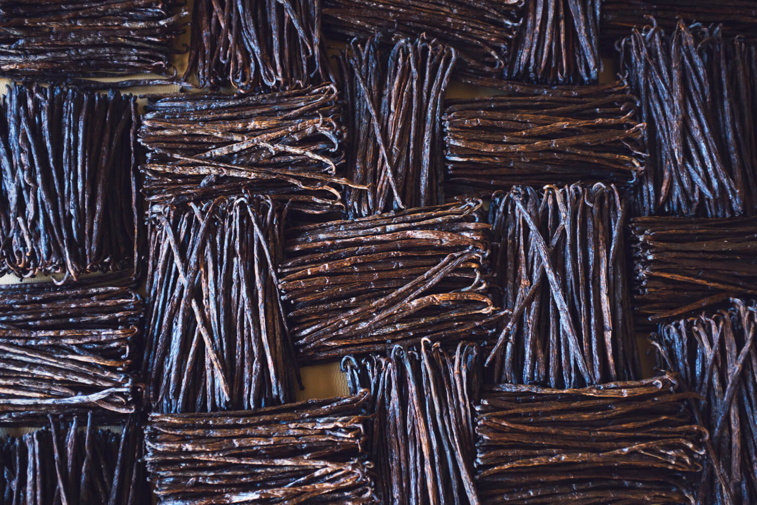Vanilla
