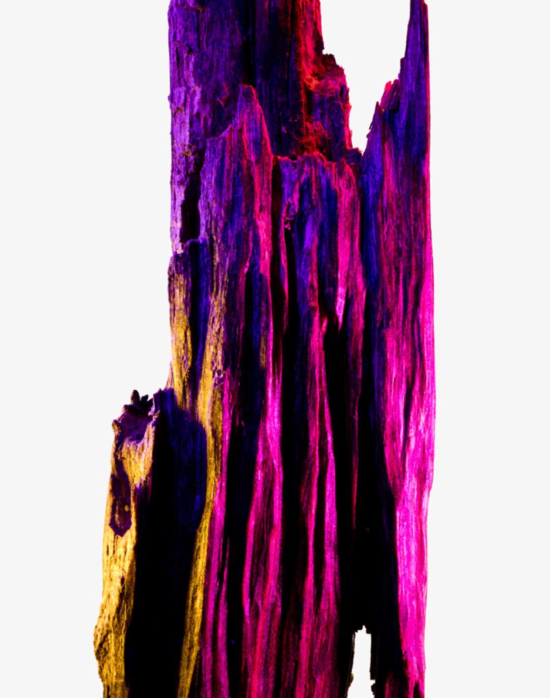 A tall, textured rock formation illuminated with vibrant purple and gold lights against a white background.