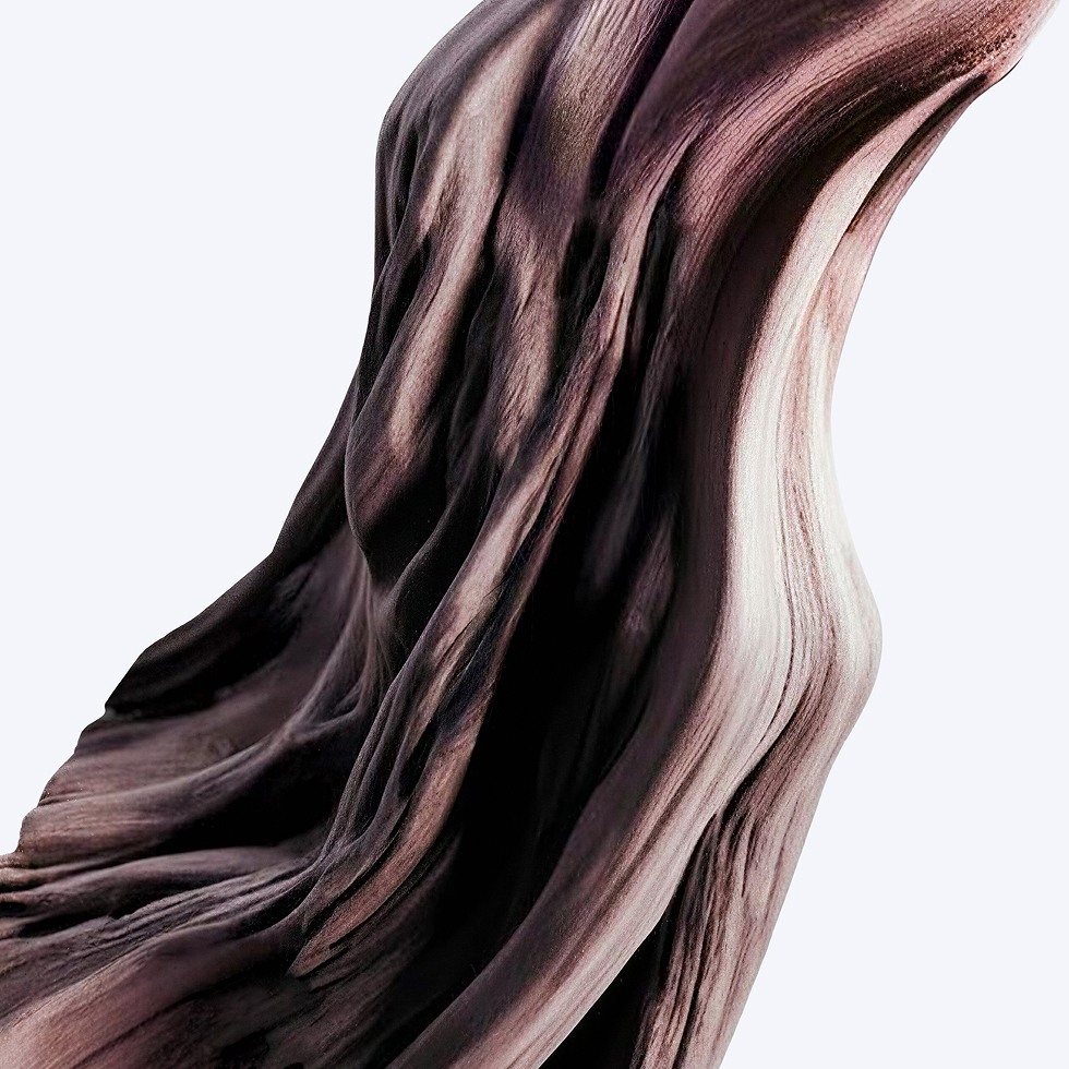 A close-up of dark, weathered wood showing deep, flowing grain textures, isolated against a white background.