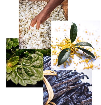 Responsible Ingredients