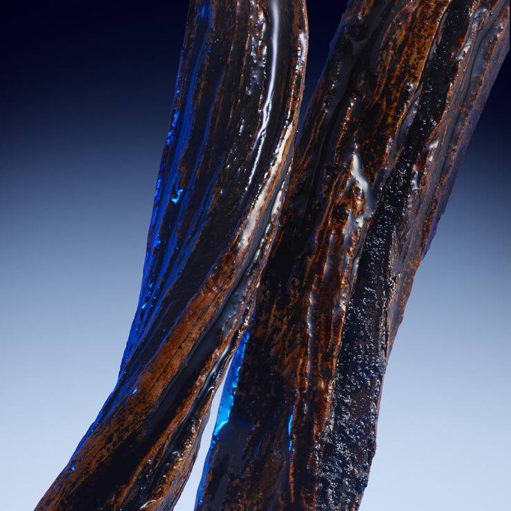 Close-up of glistening dark vanilla beans with a vibrant blue highlight on a blue background.
